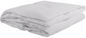 CELOROČNÍ PŘIKRÝVKA, 220/140 cm, Sleeptex - Přikrývky
