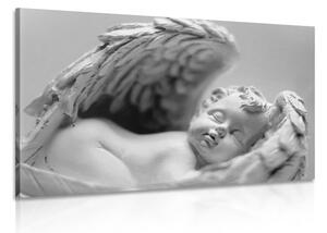 Obraz malý andílek v černobílém provedení