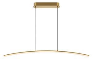 Maytoni Závěsné LED svítidlo LIGHT REFLECTION, 15W, d. 98 cm, CRI80