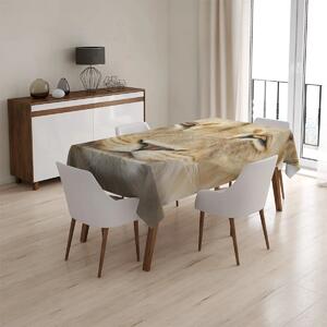 Sablio Ubrus Pohled lvice - 90x90 cm