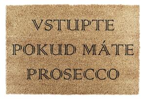 Rohožka z přírodního kokosového vlákna Artsy Doormats Prosecco, 40 x 60 cm