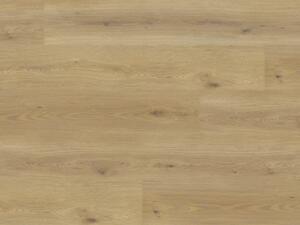 EXPERTO LVT 55 Dub Calle 8196L-001