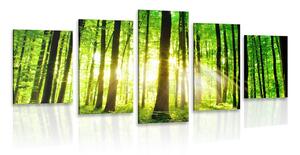 5-dílný obraz svěží zelený les