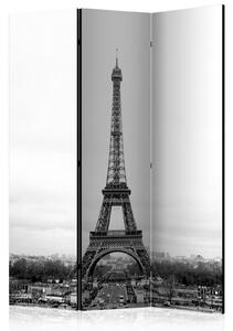 Paraván - Paříž: černobílá fotografie 135x172