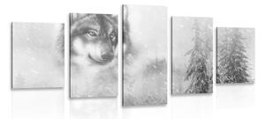 5-dílný obraz vlk v zasněžené krajině v černobílém provedení