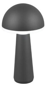 Trio Reality TR57716142 LED venkovní stolní svítidlo FUNGO | 2W integrovaný LED zdroj | 200lm | 3000+4000+5000K
