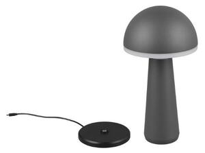 Trio Reality TR57716142 LED venkovní stolní svítidlo FUNGO | 2W integrovaný LED zdroj | 200lm | 3000+4000+5000K