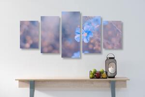 5-dílný obraz modré květy na vintage pozadí