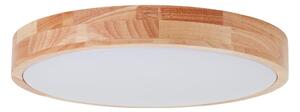 Brilliant - LED Stropní svítidlo SLIMLINE LED/22W/230V pr. 39 cm gumovník