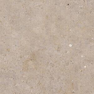 Dlažba Pastorelli Biophilic greige 60x60 cm mat P009498