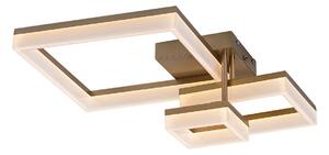 Rabalux 98071384 LED přisazené stropní svítidlo Amilia | 22W integrovaný LED zdroj | 2380lm | 3000+4000+6500K