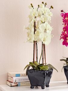KLiNGEL Orchidej, bílá