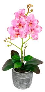 KLiNGEL Orchidej v květináči, růžová