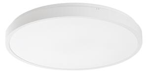 Rabalux 98071431 LED venkovní stropní svítidlo Alenzo | 36W integrovaný LED zdroj | 2450lm | 3000-6000K