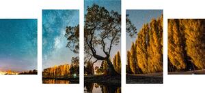 5-dílný obraz strom pod hvězdnou oblohou