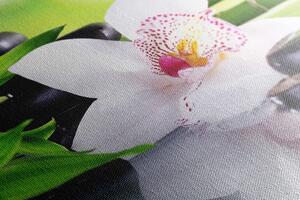 Obraz orchidej s japonskou tématikou