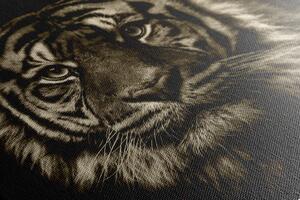 Obraz tygr v sépiovém provedení
