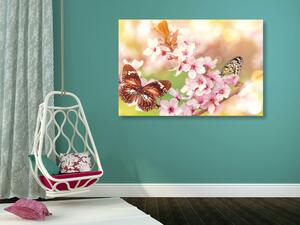 Obraz jarní květiny s exotickými motýly