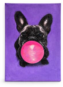 Obraz Frenchie Bubble
