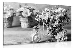 Obraz romantický karafiát ve vintage nádechu v černobílém provedení