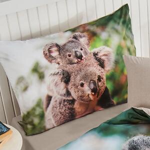 Povlečení Koala bear renforcé, 140 x 200 cm, 70 x 90 cm
