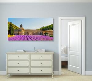 Obraz Provence s levandulovými poli