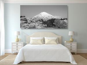 Obraz hora Fuji v černobílém provedení