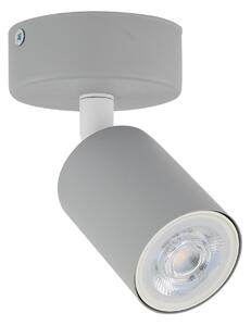 TK Lighting 10223 - Bodové svítidlo Livia 1xGU10, šedá