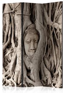 Paraván - Buddhův strom 135x172