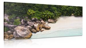 Obraz pobřeží Seychely