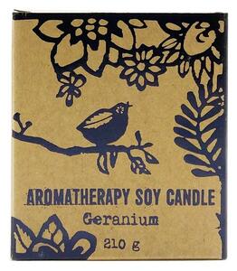 Aromaterapeutická svíčka s dřevěným knotem Muškát, 210 g