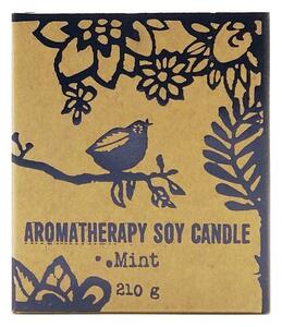 Aromaterapeutická svíčka s dřevěným knotem Máta, 210 g