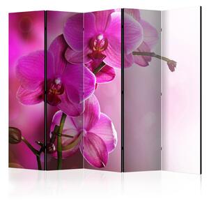Paraván - Růžová orchidej III 225x172