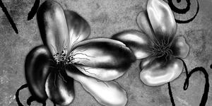 Obraz zajímavé vintage květiny v černobílém provedení