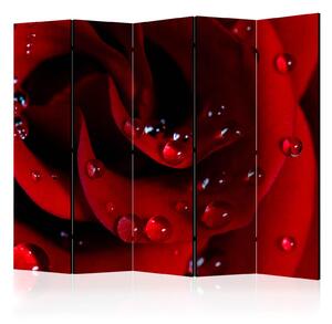 Paraván - Červená růže s kapkami vody II 225x172