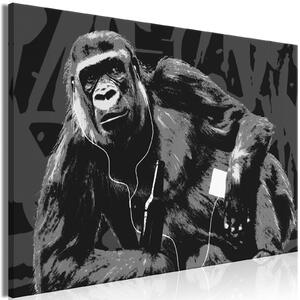 Obraz - Pop Artová opice - šedá 90x60