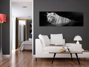 Obraz - Zářící tygr - černobílý 135x45