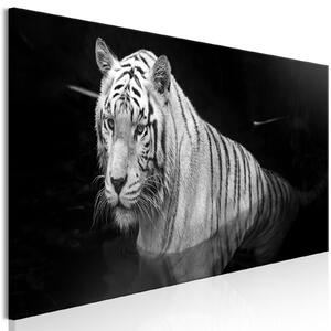 Obraz - Zářící tygr - černobílý 150x50