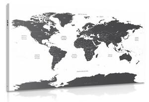 Obraz mapa světa s jednotlivými státy v šedé barvě