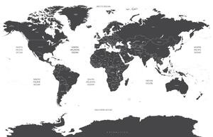 Obraz mapa světa s jednotlivými státy v šedé barvě Varianta: 60x40