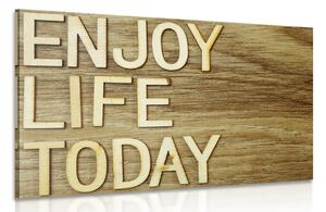 Obraz s citací - Enjoy life today