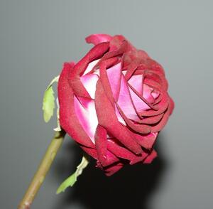 Hitra Květina/dekorace růže 70cm