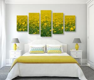 5-dílný obraz žluté pole