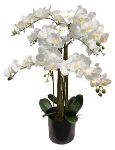 Umělá orchidej bílá 80 cm Lia - Bílá - 71 - 90 cm