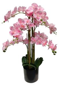 Umělá orchidej růžová 80 cm Eterna Real touch - Růžová - 71 - 90 cm