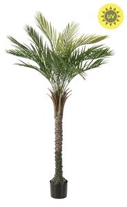 Umělá Palma Phoenix venkovní, 150cm