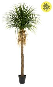 Umělá Palma Yucca venkovní, 260cm