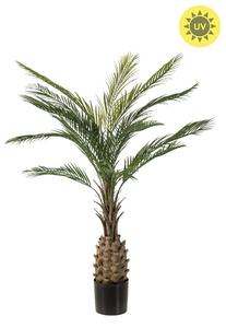 Umělá Palma datlová venkovní, 150cm