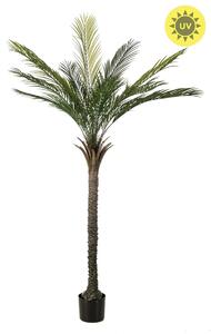 Umělá Palma Phoenix venkovní, 180cm