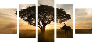 5-dílný obraz slon při východu slunce